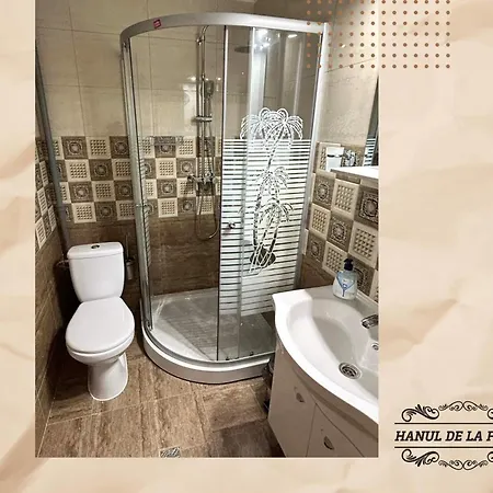 Hanul De La Ferma Guest house *